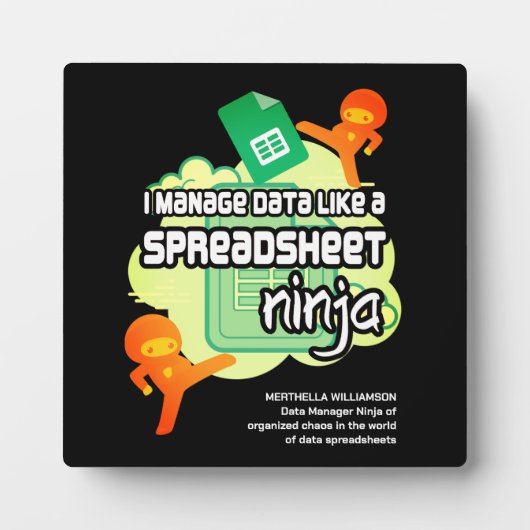 おもしろいI管理データのスプレッドシート忍者 フォトプラーク (正面)