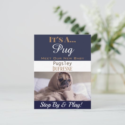 「おもしろいIt's A」という新しいペットのアナウンス ポストカード (スタンド正面)