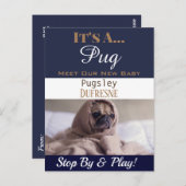 「おもしろいIt's A」という新しいペットのアナウンス ポストカード (正面/裏面)