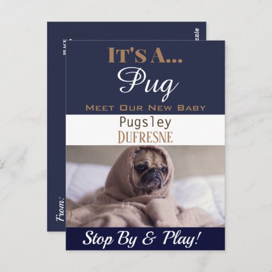 「おもしろいIt's A」という新しいペットのアナウンス ポストカード (正面/裏面)