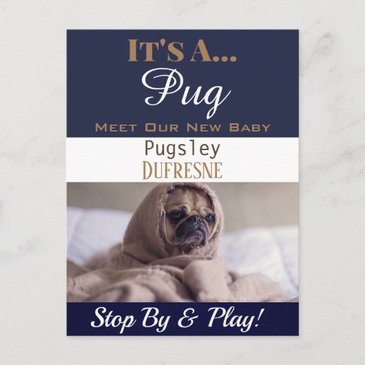 「おもしろいIt's A」という新しいペットのアナウンス ポストカード (正面)