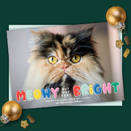 おもしろいMeowyがNot Bright Cute Catの写真 シーズンカード