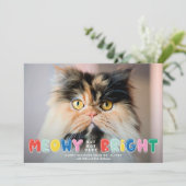 おもしろいMeowyがNot Bright Cute Catの写真 シーズンカード (スタンド正面)