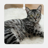 おもしろいMEOY CRISMAS猫名2写真  メタルオーナメント (裏面)