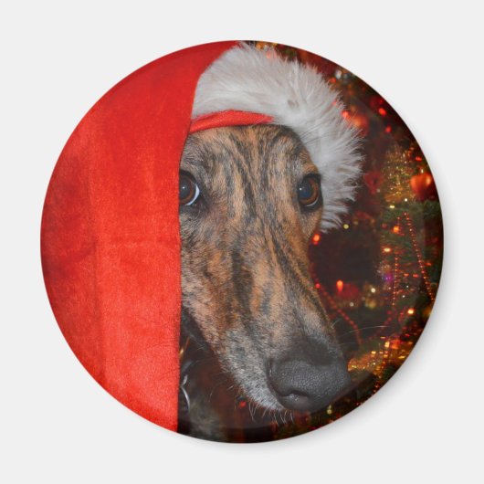おもしろいSanta Dog -Lurcher Greyhound Christmas Hat マグネット (正面)