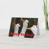 おもしろいSanta Ducks写真クリスマス シーズンカード (正面)