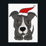 おもしろいSanta Hat Christmas Artのグレーピットブル シーズンポストカード<br><div class="desc">赤いおもしろいサンタハットのピットブルオリジナルアートデザインを着た素敵な灰色のパピードッグ。注文時にカスタム文字を追加し、背景色を変更できる。</div>