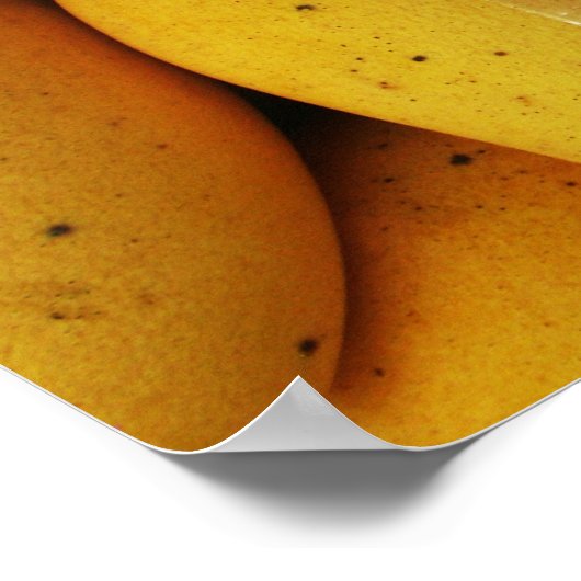 'おもしろいtouchマンゴー'の署名 ポスター (角)