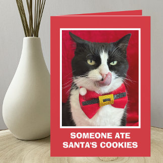 おもしろいTuxedo猫クリスマスカード カード