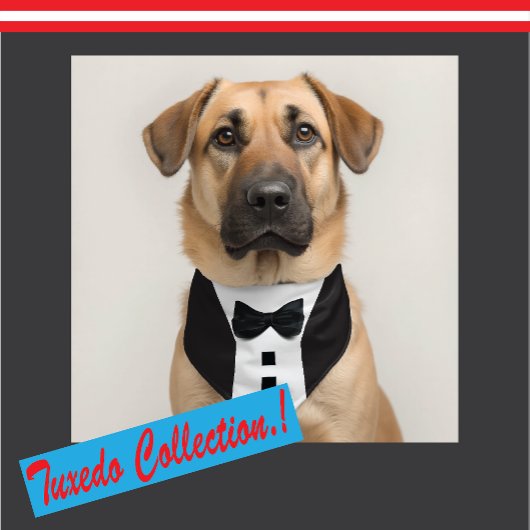 おもしろいTuxedo 🎩ブラックタイフォーマルプ ラゲッジタグ