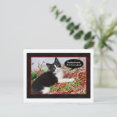 おもしろいTuxedo Catクリスマスポストカード シーズンポストカード (スタンド正面)