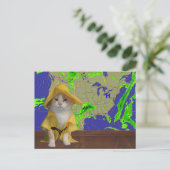 おもしろいYellow SlickerのCat/子猫Weatherman ポストカード (スタンド正面)