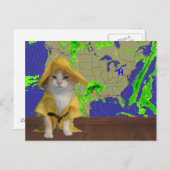 おもしろいYellow SlickerのCat/子猫Weatherman ポストカード (正面/裏面)