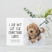 おもしろかわいいペットの黒と白の年賀状写真 シーズンカード (スタンド正面)