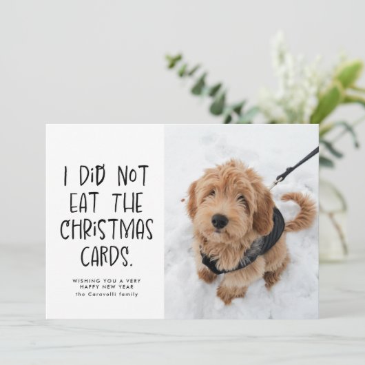 おもしろかわいいペットの黒と白の年賀状写真 シーズンカード (スタンド正面)