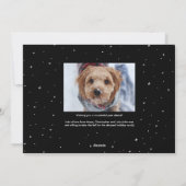 おもしろかわいいペットの黒と白の年賀状写真 シーズンカード (裏面)