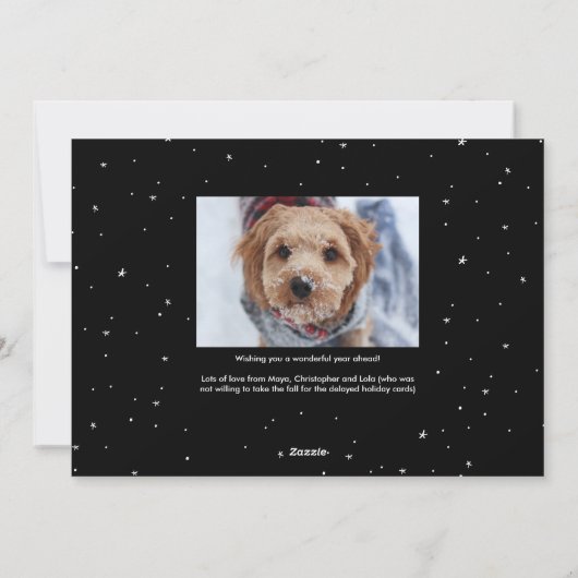 おもしろかわいいペットの黒と白の年賀状写真 シーズンカード (裏面)