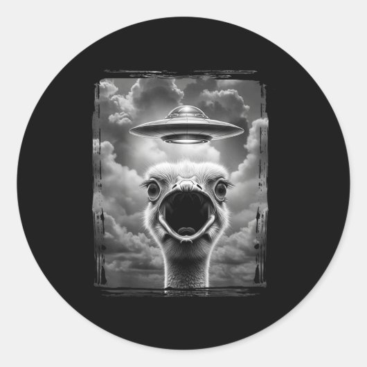 おもしろエイリアンターキーUFOセルカ・感謝祭の面白画像 ラウンドシール (正面)