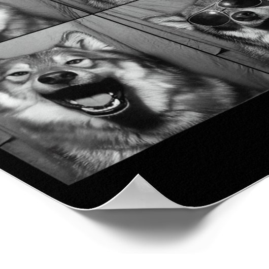 おもしろオオカミ写真ブースサングラス犬 ポスター (角)