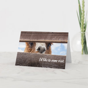 おもしろカードを返す。 カード