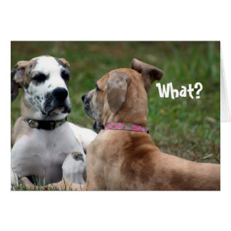 おもしろカード