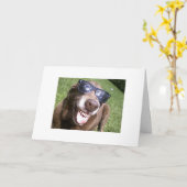 おもしろカード カード (黄色い花)