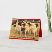 おもしろカード、願いの雌ヒツジのメリークリスマス、幸せなヌー年! シーズンカード (正面)