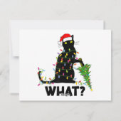 おもしろ黒猫がクリスマスツリーを倒す猫チャンネル シーズンカード (裏面)