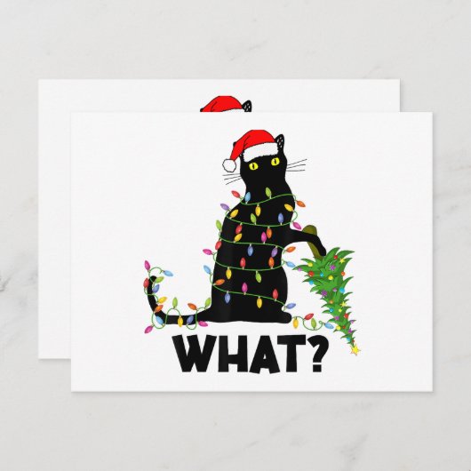 おもしろ黒猫がクリスマスツリーを倒す猫チャンネル シーズンカード (正面/裏面)