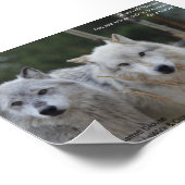 おもし前の狼を… ポスター (角)