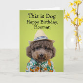 おもちゃおもしろいプードルバースデーカード カード (黄色い花)