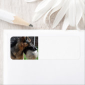 おもちゃのあるドイツ人の羊飼い ラベル (インサイチュ)