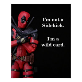 おもちゃのおもしろい写真アンチ – ヒーロー ポスター