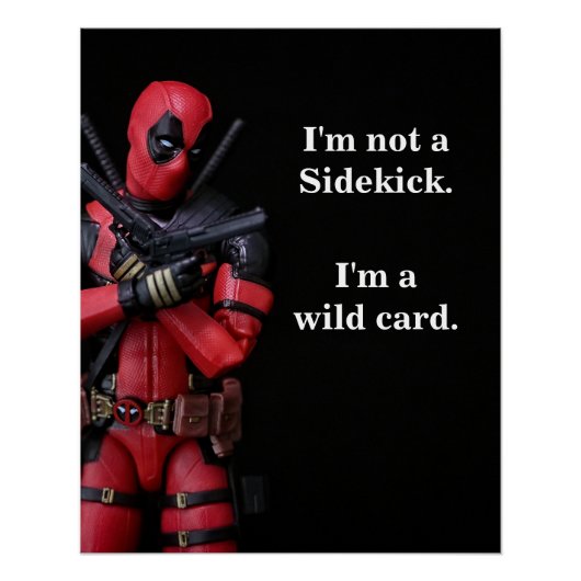 おもちゃのおもしろい写真アンチ – ヒーロー ポスター (正面)