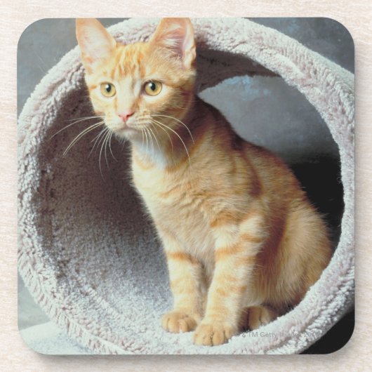 おもちゃのオレンジ猫 コースター (正面)