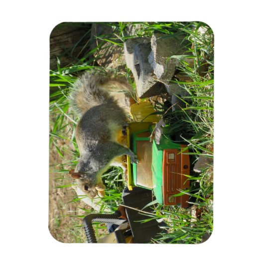 おもちゃのトラックマグネットに飢えたリス マグネット (縦)