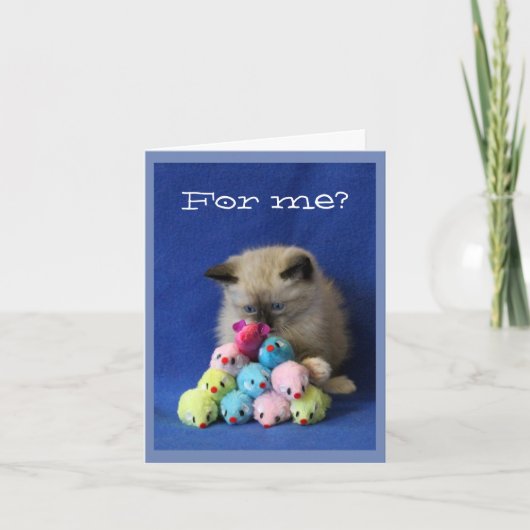 おもちゃのネズミを持つ寄り目の子ネコ サンキューカード (正面)