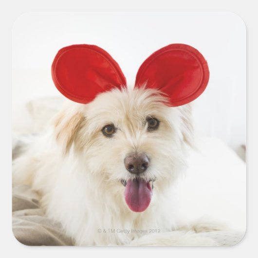 おもちゃの耳をベッドに着た犬 スクエアシール (正面)