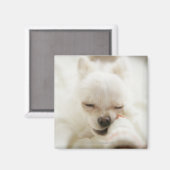 おもちゃを口に入れて持っている犬 マグネット (正面/裏面)