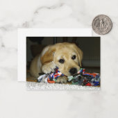 おもちゃを持つLRの黄色のラブラドール子犬 ノートカード (正面/裏面インサイチュ)