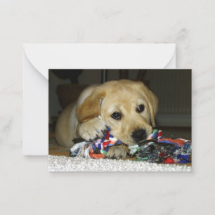 おもちゃを持つLRの黄色のラブラドール子犬 ノートカード