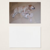 おもちゃウサギ付きかわいい眠るゴールデンレトリバー (正面&裏面)