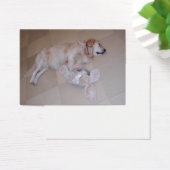 おもちゃウサギ付きかわいい眠るゴールデンレトリバー (デスク)