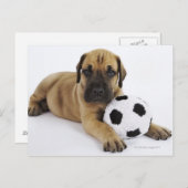 おもちゃサッカーボールを持つ大きなダーンパピー ポストカード (正面/裏面)
