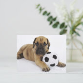 おもちゃサッカーボールを持つ大きなダーンパピー ポストカード (スタンド正面)