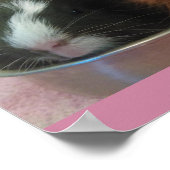 おもちゃパンのモルモット ポスター (角)