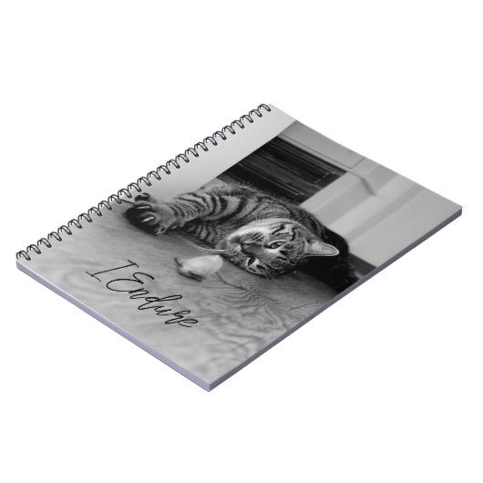 おもちゃマウスを見ながら横に寝そべった退屈なタビー猫 ノートブック (左側)