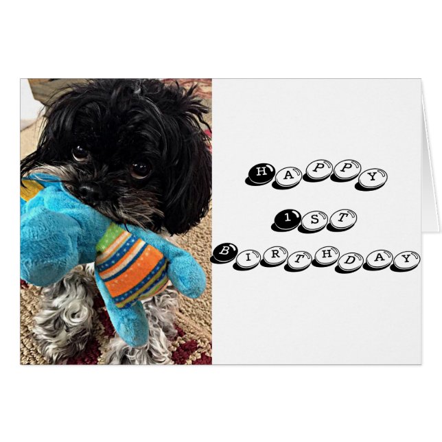 おもちゃ付きの子犬は回っていると言う****1**** (正面横)