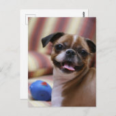 おもちゃ付きハッピードッグ ポストカード (正面/裏面)