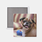 おもちゃ付きハッピードッグ マグネット (正面/裏面)